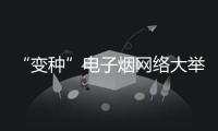 “變種”電子煙網(wǎng)絡(luò)大舉售賣 專家建議：壓實電商渠道職責(zé)