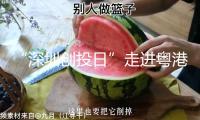 “深圳創(chuàng)投日”走進(jìn)粵港澳大灣區(qū)國家技術(shù)創(chuàng)新中心世界總部 共促生命健康科技成果轉(zhuǎn)化