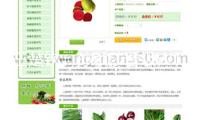 王楚欽、孫穎莎晉級WTT美國大滿貫賽16強(qiáng)