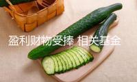 盈利財物受捧 相關基金密布“上新”