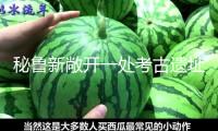 秘魯新敞開一處考古遺址 3500多年前古城提醒文明連續(xù)
