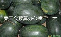 美國會預(yù)算辦公室：“大而美”法案或致美國赤字十年內(nèi)添加3.4萬億美元