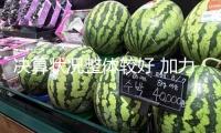 決算狀況整體較好 加力施行財(cái)政政策——聚集2024年中心決算陳述