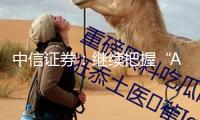 中信證券：繼續(xù)把握“AI主線”機(jī)遇 重點看好AI Agent及算力主線方向