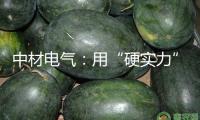 中材電氣：用“硬實力”贏得商場 本年歐洲商場新簽合同已超8000萬元