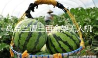 烏克蘭遭三百余架無(wú)人機(jī)突擊，烏媒稱數(shù)量破紀(jì)錄