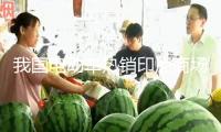 我國電動車熱銷印尼商場