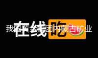 我國(guó)黃金集團(tuán)內(nèi)蒙古礦業(yè)有限公司已停產(chǎn)