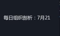 每日組織剖析：7月21日
