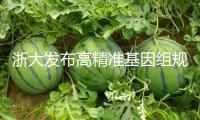 浙大發(fā)布高精準(zhǔn)基因組規(guī)劃AI模型
