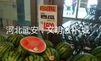 河北武安：文明滋補 城市不斷成長