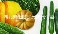 湖北襄陽瞎子兄弟周付喜、周成喜多年來磨煉修理技術(shù)—— 聽摸排障，修好3萬余臺農(nóng)機(jī)（守望）