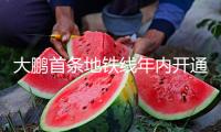 大鵬首條地鐵線年內(nèi)開(kāi)通 地鐵8號(hào)線三期工程實(shí)現(xiàn)“雙電通”