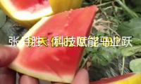 張?jiān)聞伲嚎萍假x能馬業(yè)躍上新臺(tái)階