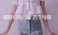 鋼鐵板塊回暖 西寧特鋼4連板