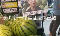 蘇丹新一輪霍亂疫情已致2302人逝世