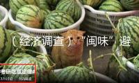 （經(jīng)濟(jì)調(diào)查）“閩味”避暑美食出海送“清涼”