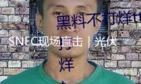 SNEC現(xiàn)場直擊｜光伏與儲(chǔ)能深度交融重塑工業(yè)格式