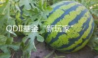 QDII基金“新玩家”連續(xù)進(jìn)場(chǎng) 港股布局熱心居高不下