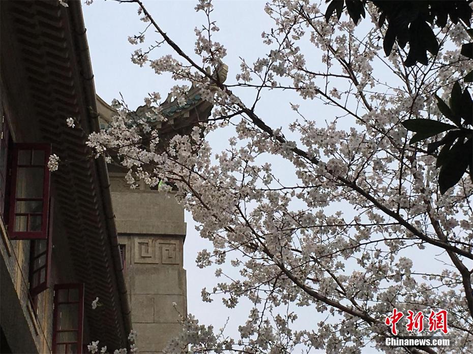 今年10月，泉州外貿(mào)進(jìn)出口2192.5億元 增長(zhǎng)4.5%