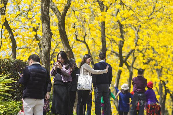 【51cgfun每日吃瓜必吃防走丟】告別高增長時代 中國光伏穿越周期的道路是什么？